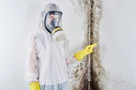 Best Forensic Mold Investigation in Bealeton, VA